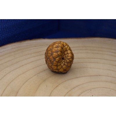 Amuleto Protege Condutores