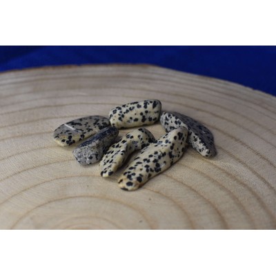 Jaspe Dálmata Polido